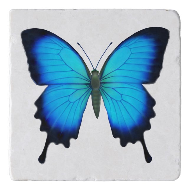 Blue Ulysses Butterfly Stone Trivet (Front)