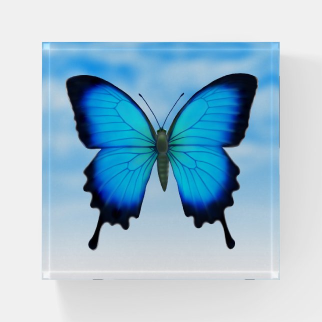 Blue Ulysses Swallowtail Butterfly Art Paperweight (Front)