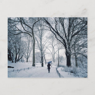 Blue Umbrella In A White Wonderland Postcard
