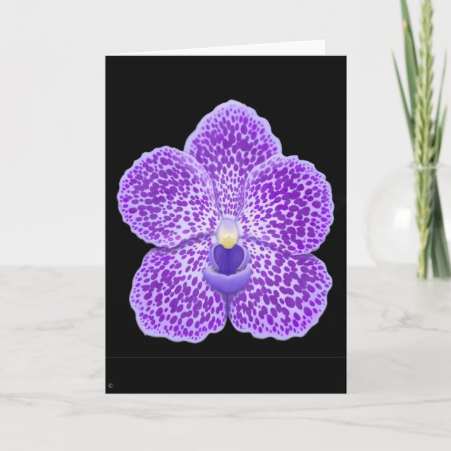 Blue Vanda Orchid Flower Greeting Card (Front)