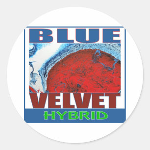 BLUE VELVET HYBRID CLASSIC ROUND STICKER