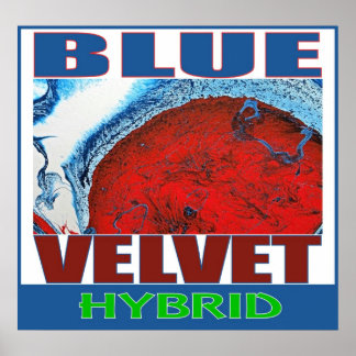 BLUE VELVET HYBRID POSTER