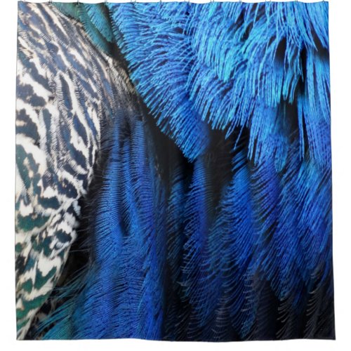 Blue Velvet Peacock Feathers Shower Curtain