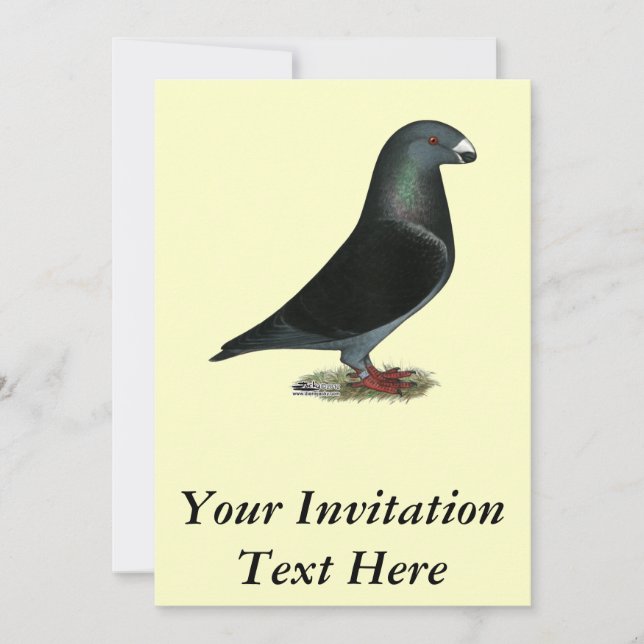 Blue Velvet Show Racer Invitation (Front)