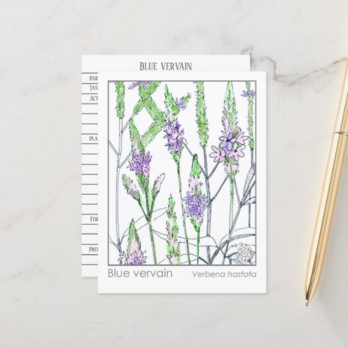 Blue Vervain Materia Medica Herbal Study Card