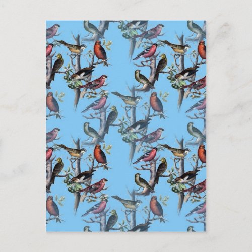 Blue Vintage Art Birds pattern accessories LeahG Postcard