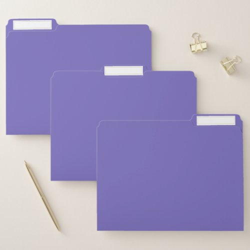 Blue_violet Crayolasolid color  File Folder