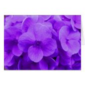 Blue Violet Hydrangea (Front Horizontal)