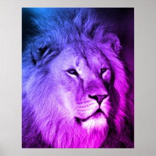 Blue Violet Lion - Animal Photography Art Poster