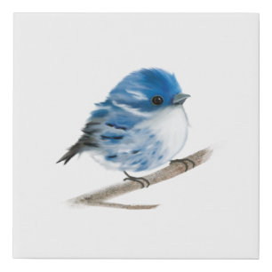 Blue Warbler Faux Wrapped Canvas Print