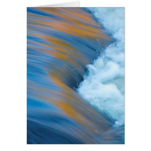 Blue water abstract, Canada Cards (Front)