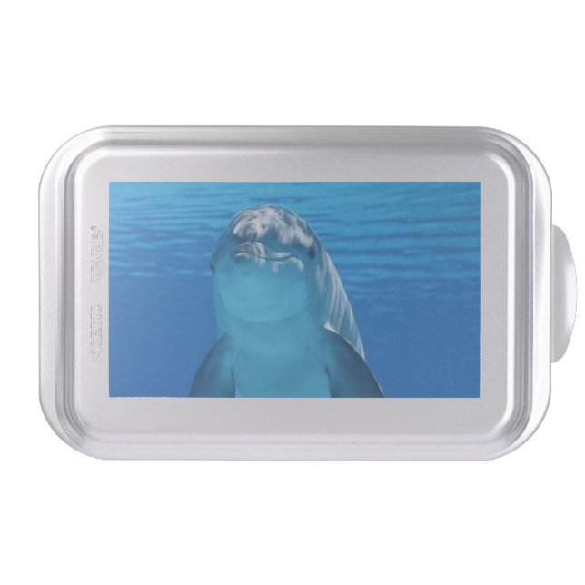 Blue Water Dolphin Swimming Cake Pan (Front)