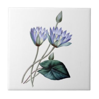 Blue Water Lilies Tile