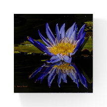 Blue Water Lily Paperweight