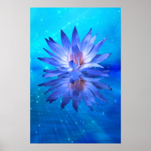 Blue Water Lily Poster