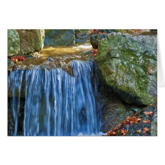 Blue Water Spring Cards (Front Horizontal)