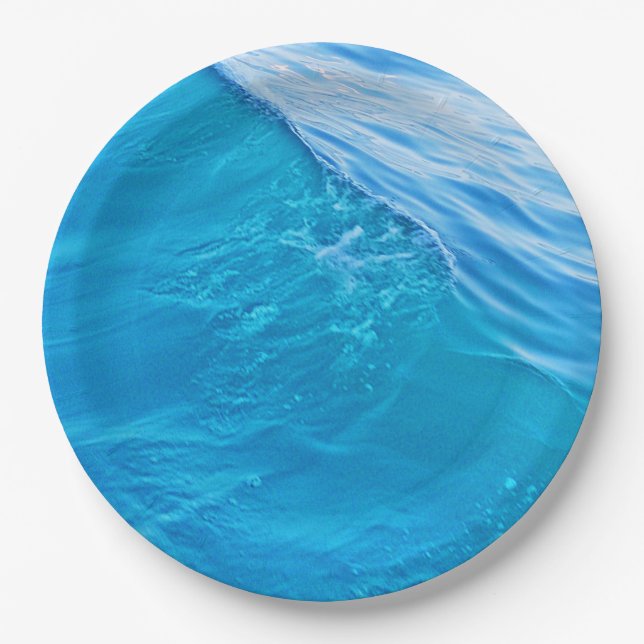 Blue water wave paper plates (Front)