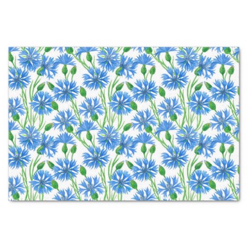 Blue watercolor cornflowers wild flowers on white tissue paper