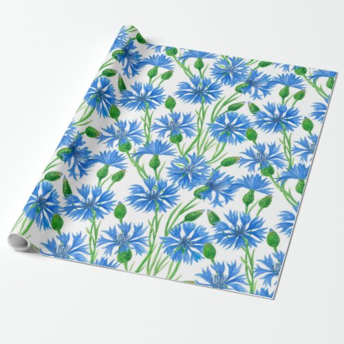 Blue watercolor cornflowers wild flowers on white wrapping paper