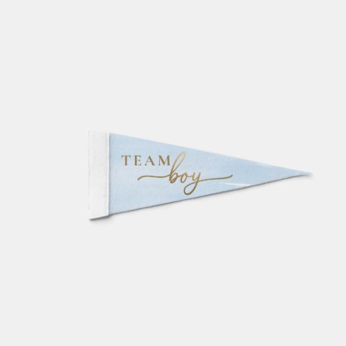 Blue Watercolour Team Girl Gender Reveal Pennant Flag