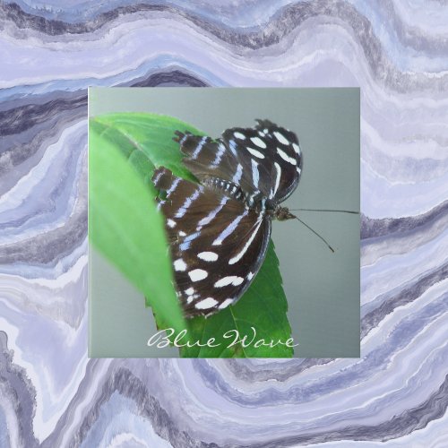 Blue Wave Butterfly on Leaf Photo Ceramic Tile