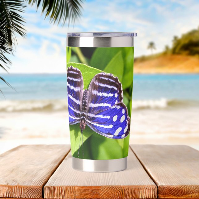 Blue Wave Butterfly Resting on Green Leaves Insulated Tumbler (Beach)