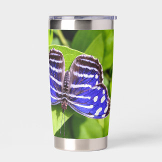 Blue Wave Butterfly Resting on Green Leaves Insulated Tumbler