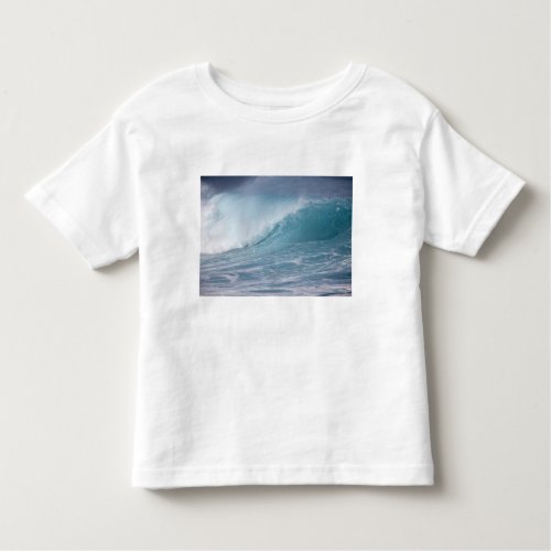 Blue wave crashing Maui Hawaii USA 2 Toddler T_shirt