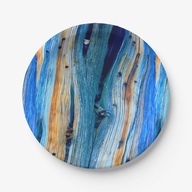 blue weathered barn boards paper plates (Front)