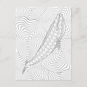 Blue Whale Adult Coloring Postcard