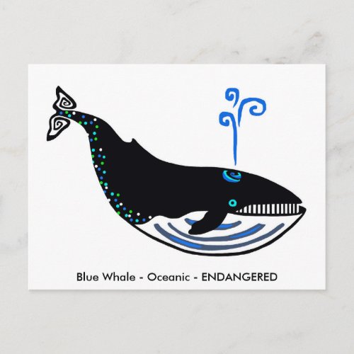  Blue WHALE _Animal lover _ Wildlife _ Nature Postcard