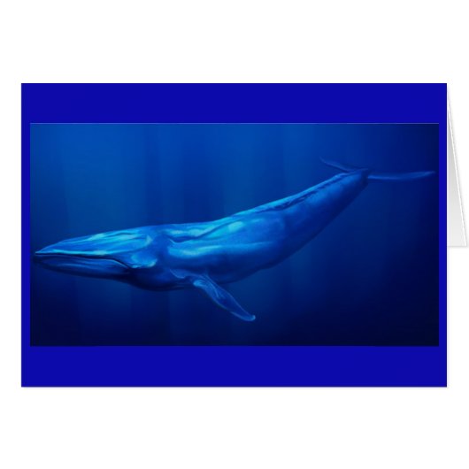 Blue Whale Cards (Front Horizontal)