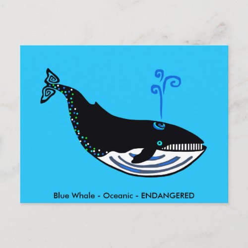  Blue WHALE _Conservation _ Ecology _ Nature Postcard