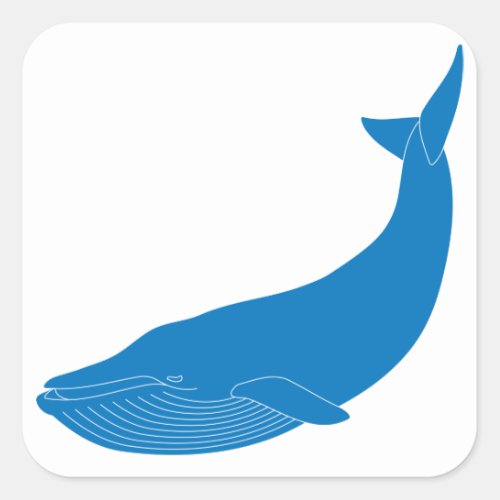 Blue Whale Marine Mammals Wildlife Oceans Square Sticker
