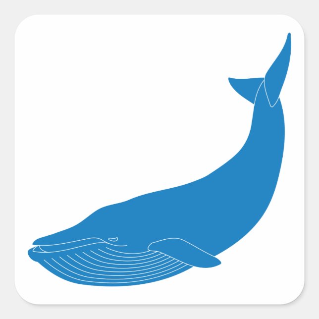 Blue Whale Marine Mammals Wildlife Oceans Square Sticker (Front)
