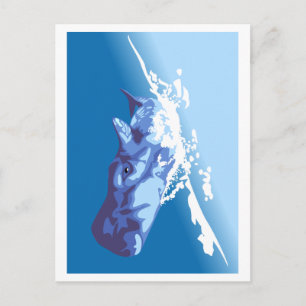 Blue Whale Postcard