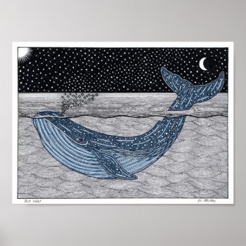 Blue Whale Poster by elihelman at Zazzle