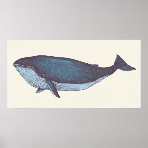 Blue Whale Poster