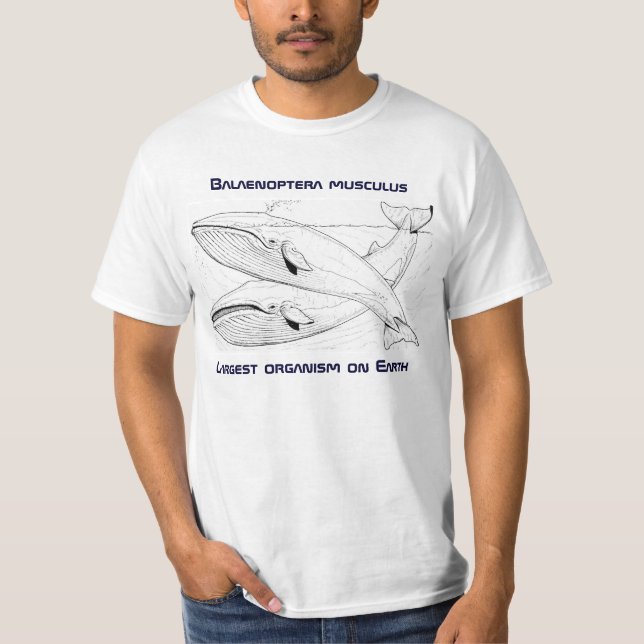 Blue Whale Tee (Front)