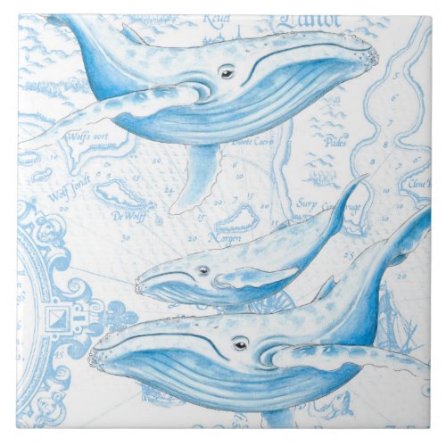 Blue Whales Family White Ceramic Tile