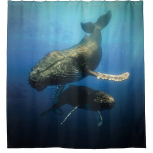 Blue Whales Shower Curtain