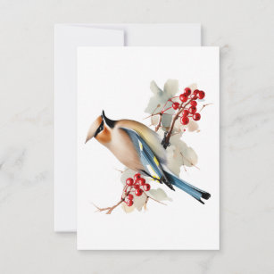 Blue White Bird Funeral Thank You, Sympathy   Note Card