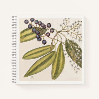 Blue & White Botanical 18th Century Illustration Notebook