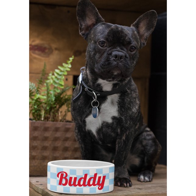 Blue White Checkered Dog Puppy Cat Name Retro Food Bowl (Blue White Checkered Dog Puppy Cat Name Retro Food Bowl)