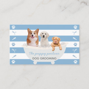Blue white dogs bubble bath dog grooming service business card