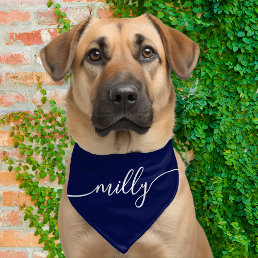 Blue White Elegant Calligraphy Script Name Dog Pet Bandana Collar