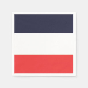 Blue White & Red Stripes Striped Party Napkins