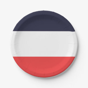 Blue White & Red Stripes Striped Party Paper Plates