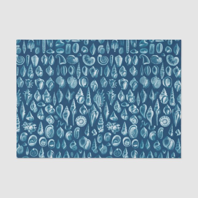 Blue & White Seashells Pattern Tissue Paper (Front)