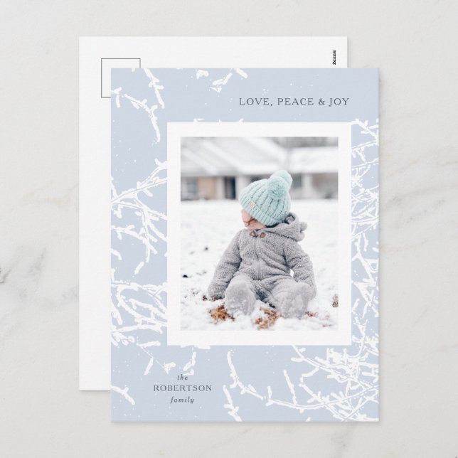 Blue & White Snowy Branches Holiday Photo Postcard (Front/Back)